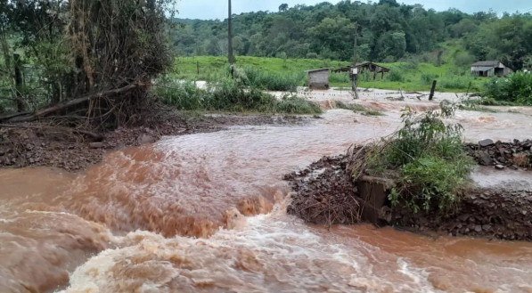 Com a recuperação das áreas degradadas de reserva legal no Pampa, podem ser gerados 80 mil empregos