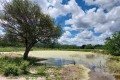 MEIO AMBIENTE