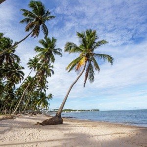 Na imagem, a linha do horizonte onde o céu encontra o mar na Praia de Guadalupe