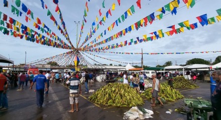 Ceasa inicia festejos juninos e Plantão do Milho