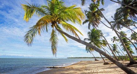 Imagem: Praia de Guadalupe, em Sirinhaém - Pernambuco