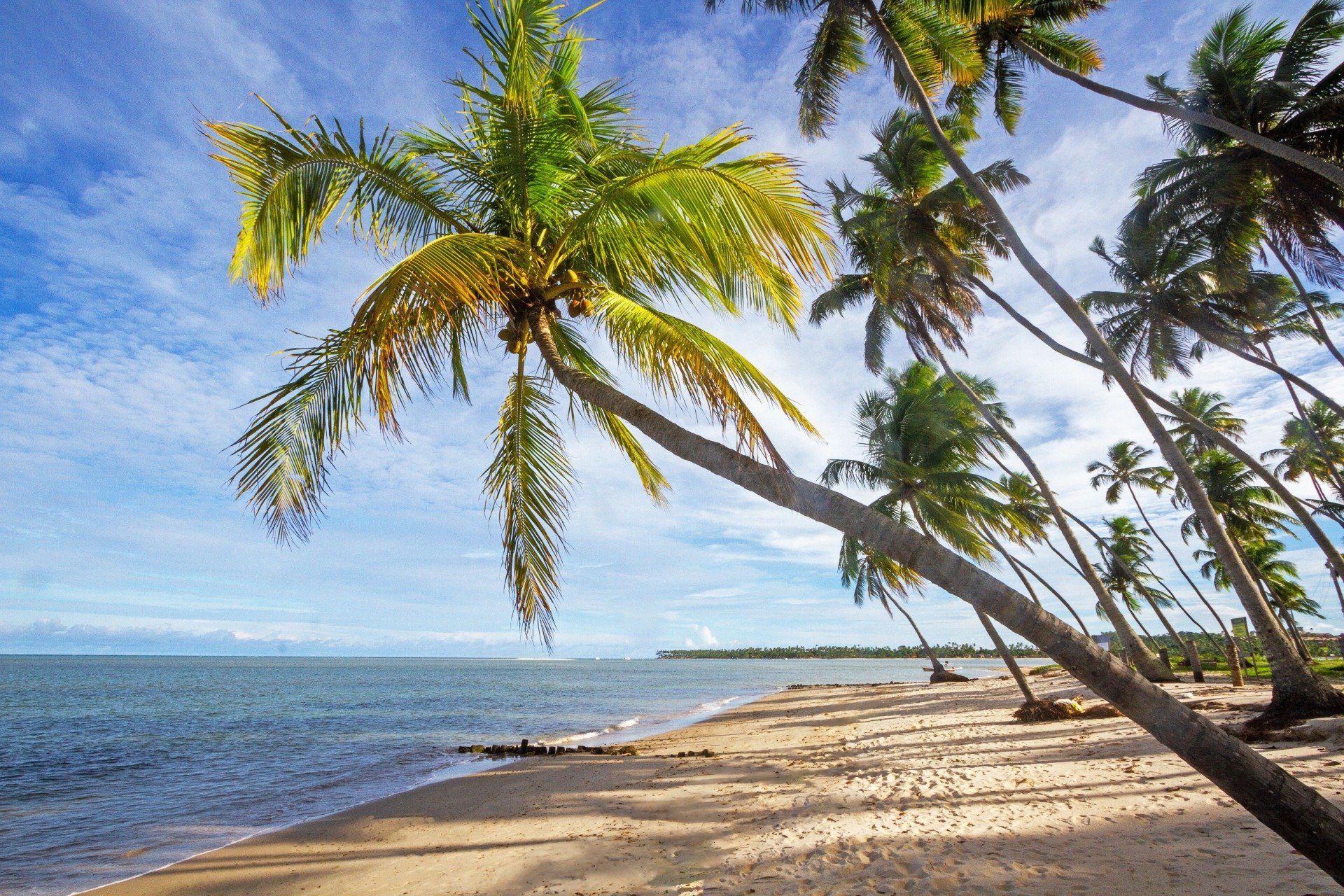 Imagem: Praia de Guadalupe, em Sirinhaém - Pernambuco