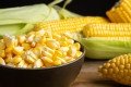ALIMENTAÇÃO