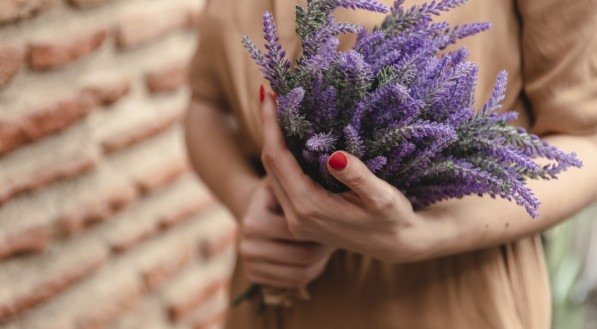 Imagem de pessoa segurando ramos de lavanda, uma planta aromática muito usada para perfurmar casas