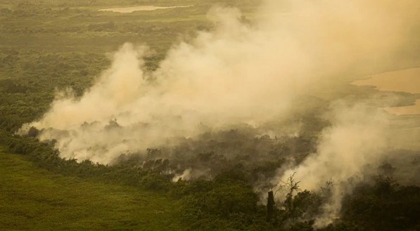 Imagem de queimada no Pantanal 