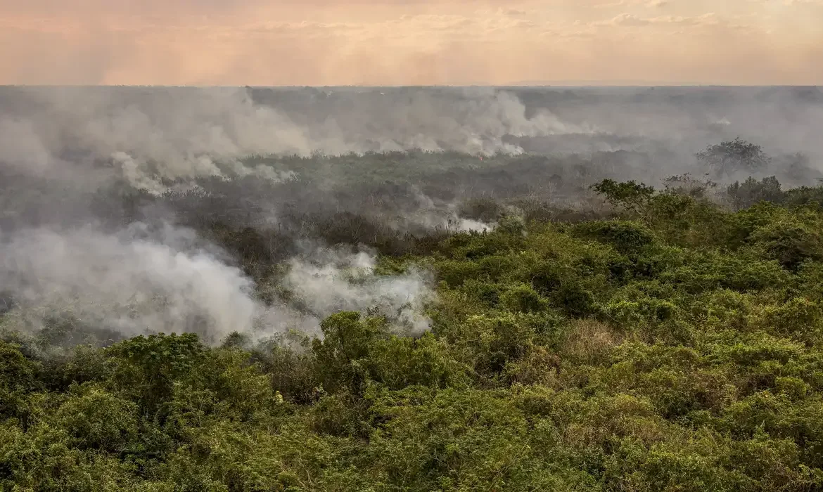 pantanal