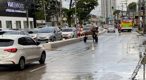 Veículo movido a tração animal circula livremente no trânsito do Recife