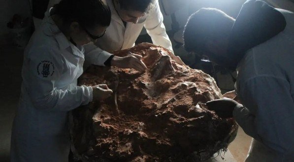 Fóssil de dinossauro de 230 milhões de anos é descoberto após chuvas no Rio Grande do Sul
