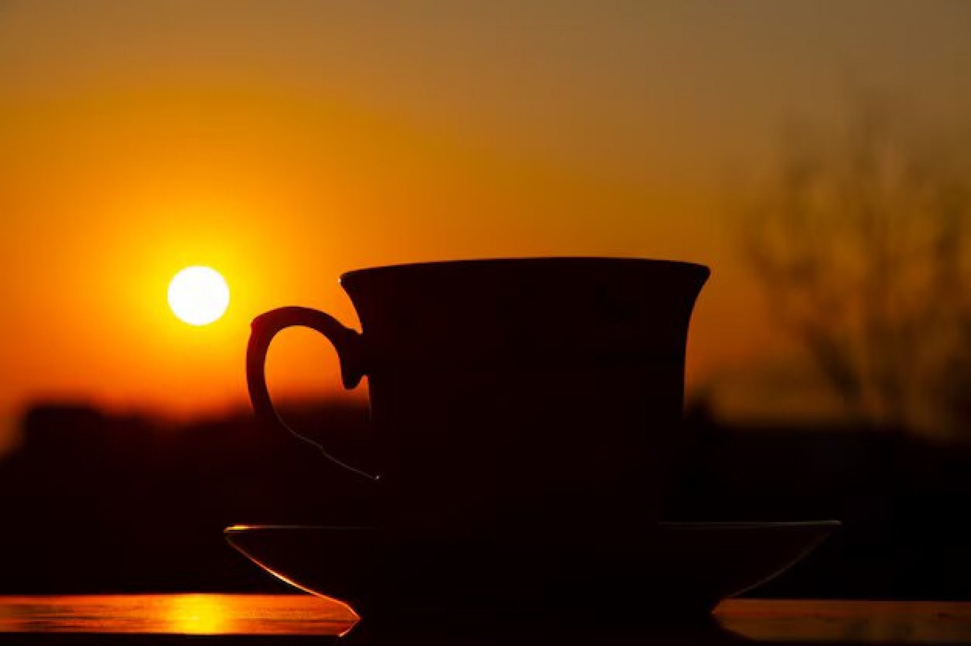 Imagem ilustra bom dia com xícara de café, com pôr do sol ao fundo