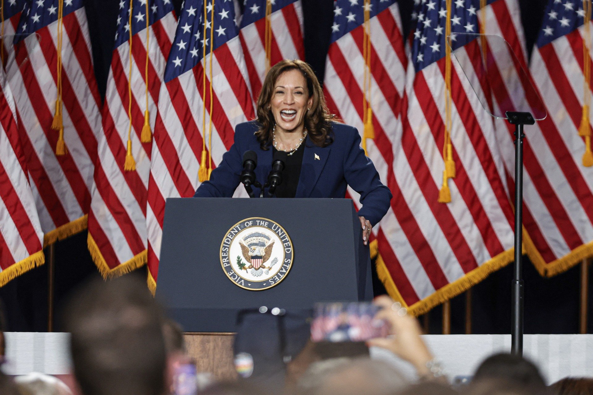 Kamala garante indicação Democrata para eleição nos EUA