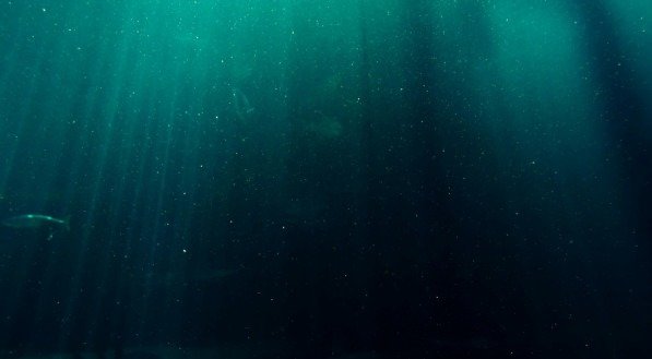 Imagem do fundo do oceano