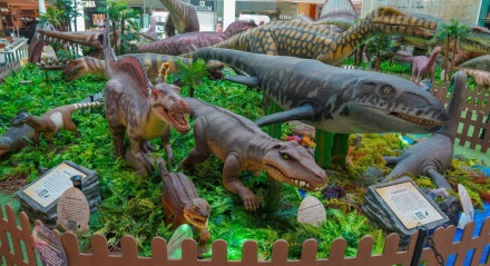 Uma das atividades é a exposição gratuita o Mundo dos Dinossauros