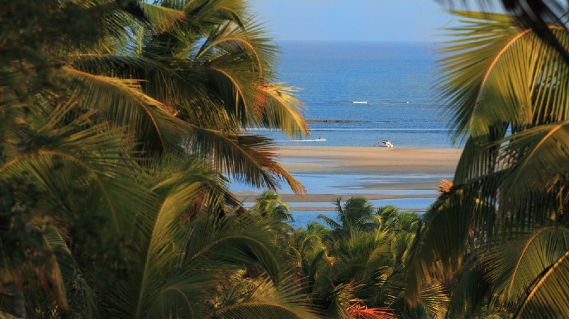 Imagem: Vista da costa da Praia de Guadalupe, em Sirinhaém