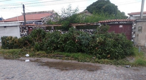 Lixo e galhos não recolhidos em Olinda