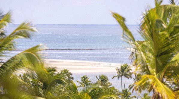 Imagem da Praia de Guadalupe, refúgio escondido em Pernambuco