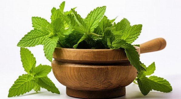 5 receitas fitness de chás de erva-cidreira para melhorar a saúde
