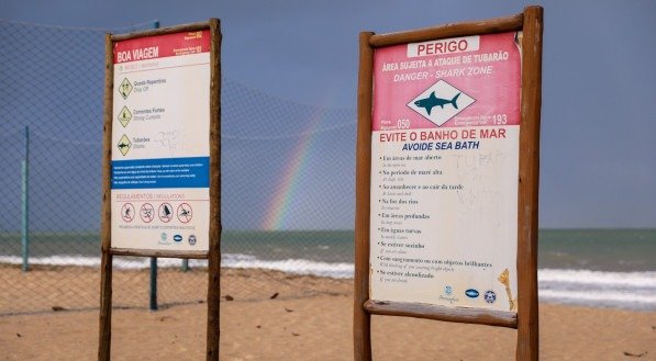 Placas de Alerta de Ataque de Tubarão na Orla de Boa Viagem