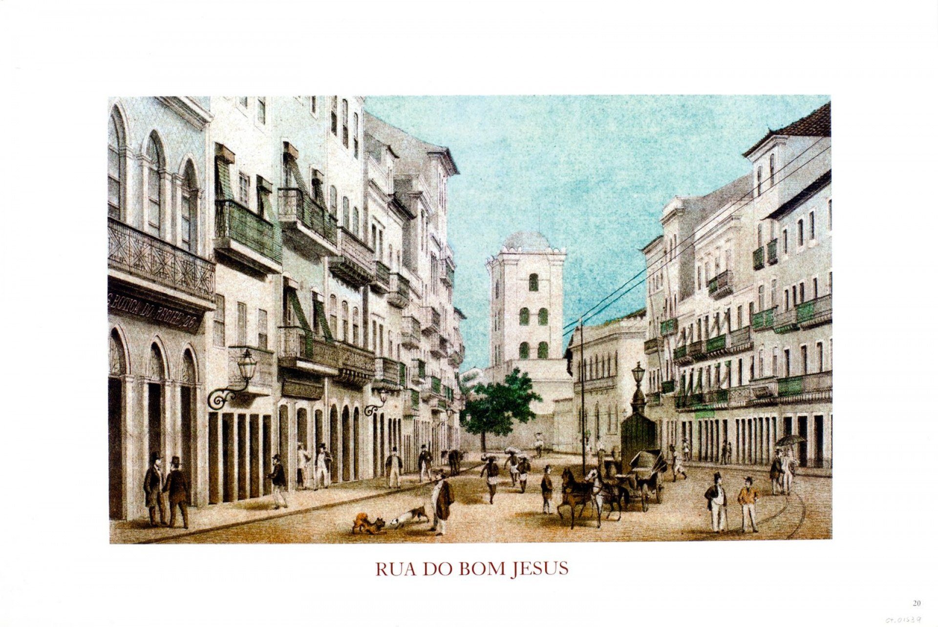 Exposição estará aberta ao público a partir desta quarta-feira (7/08)