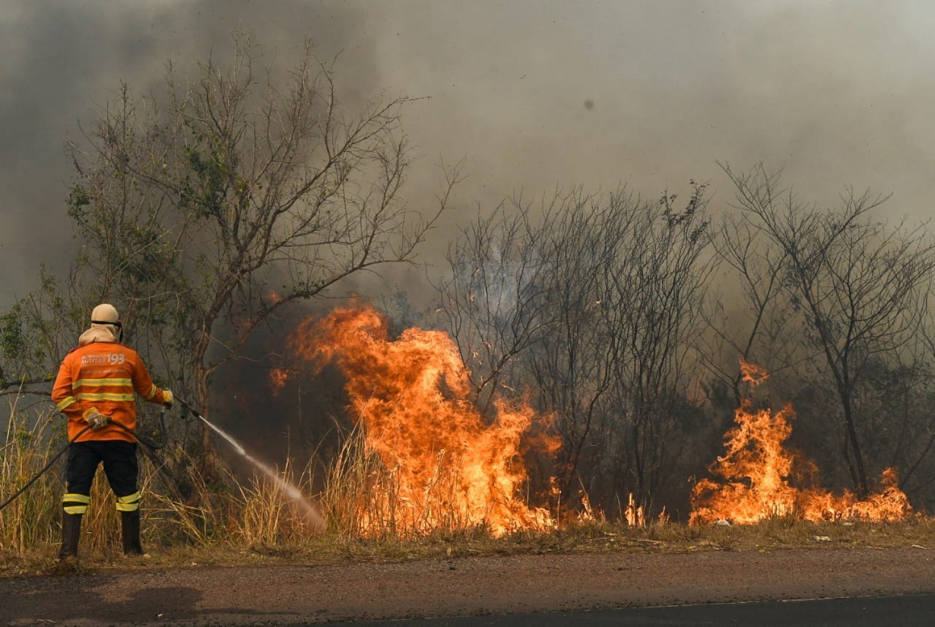 pantanal