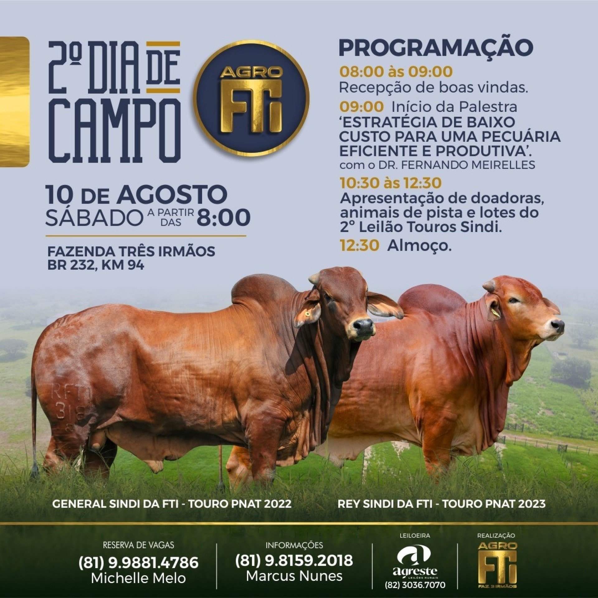 Divulgação