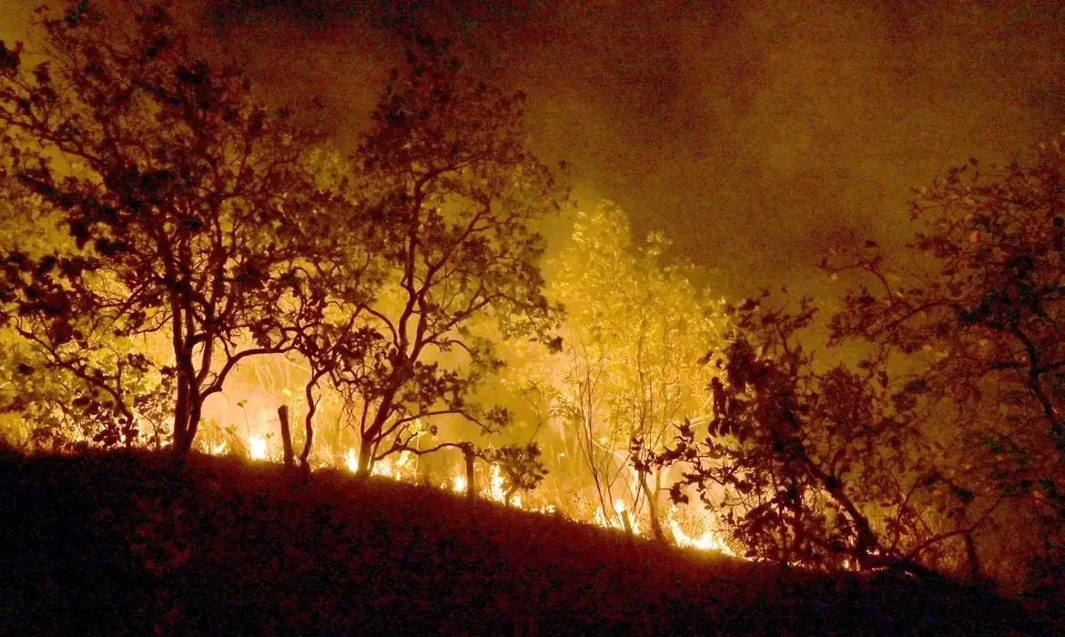 Incêndios: governo vai concentrar ações em 21 municípios da Amazônia