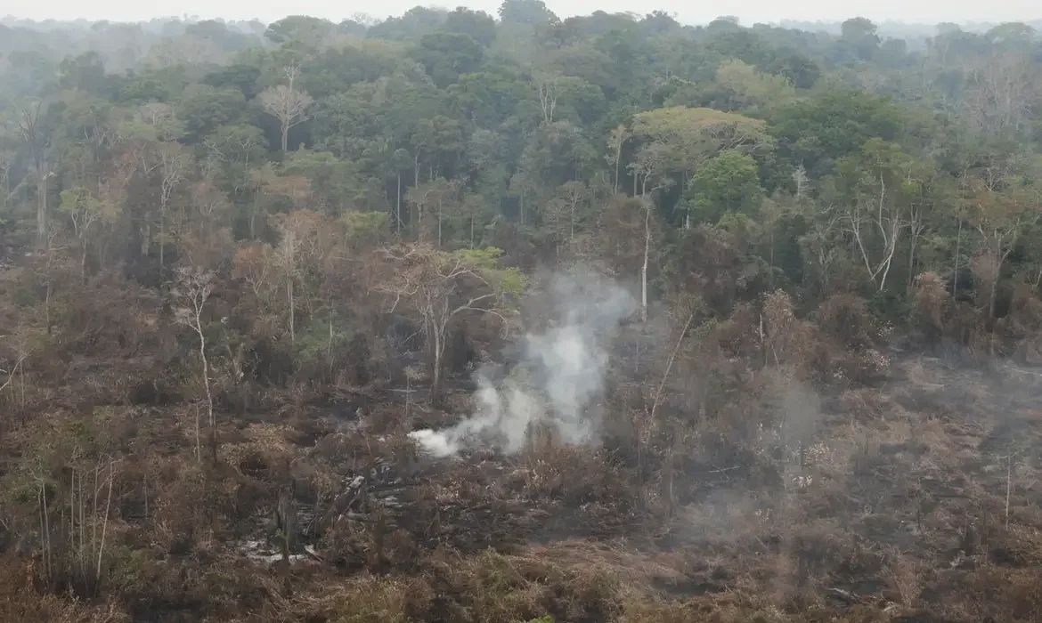 incêndios na Amazônia