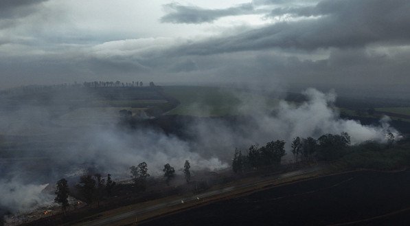 Incêndio florestal em São Paulo