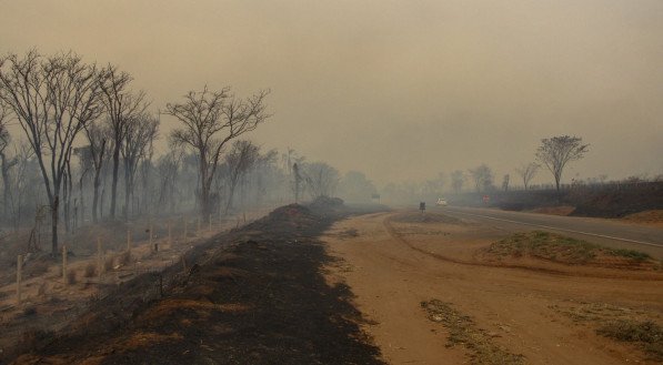 São Paulo confirma a prisão do sétimo suspeito de incêndios criminosos