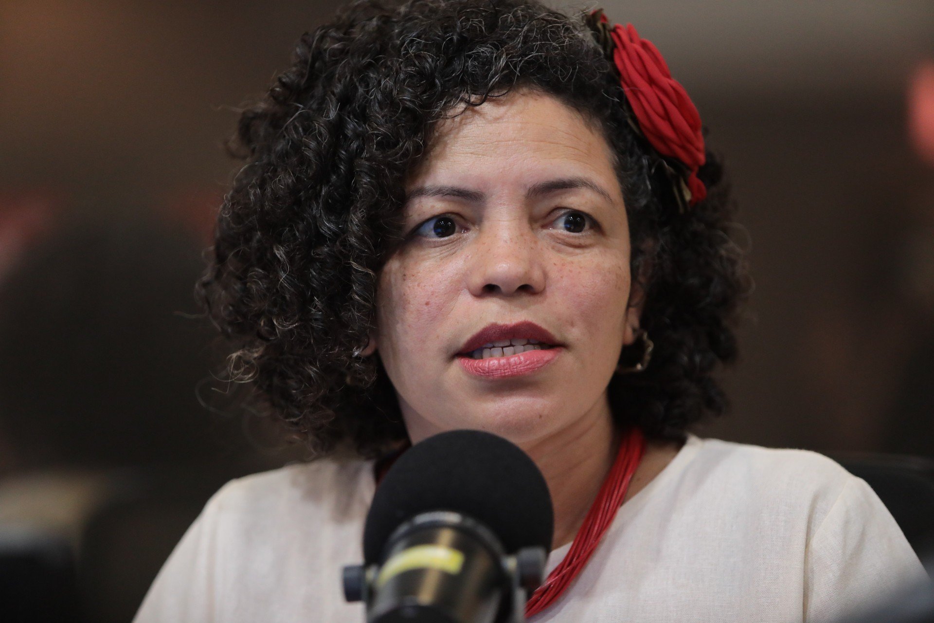 Dani Portela é autora da CPI que investiga contrato de publicidade do governo Raquel na Alepe