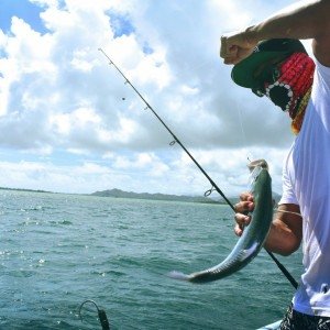 Imagem ilustrativa de pesca na praia