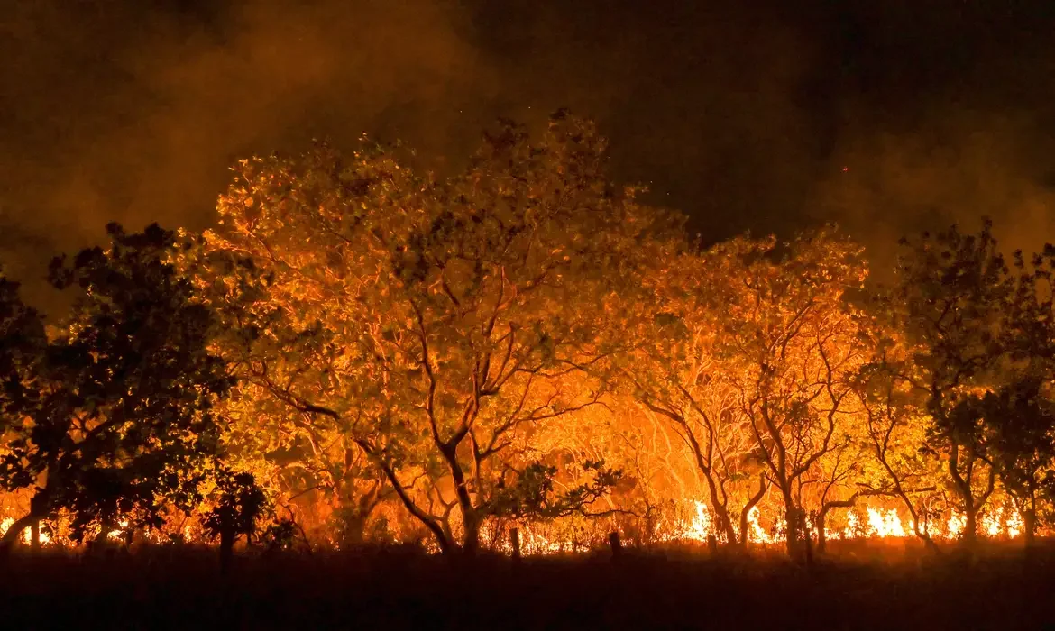 As queimadas já atingiram 2,4 milhões de hectares na Amazônia