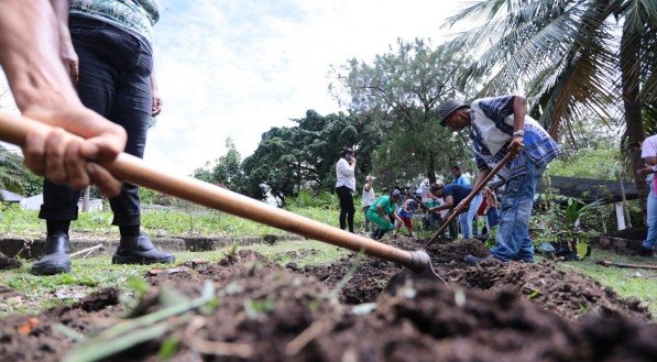 Sítio agroecológico busca implementar práticas para minimizar a insegurança alimentar e nutricional no Recife