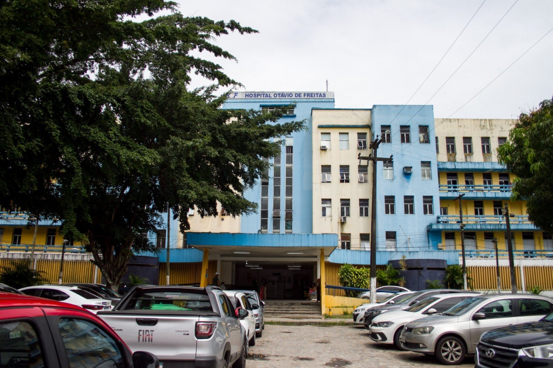SES-PE confirma tr&ecirc;s casos de Candida auris no Hospital Ot&aacute;vio de Freitas; dois pacientes morreram e um segue em isolamento na UTI respirat&oacute;ria