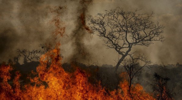 Brigadistas do Instituto Brasília Ambiental e Bombeiros do Distrito Federal combatem incêndio em área de cerrado próxima ao aeroporto de Brasília