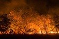 Foto da capa: Brasil