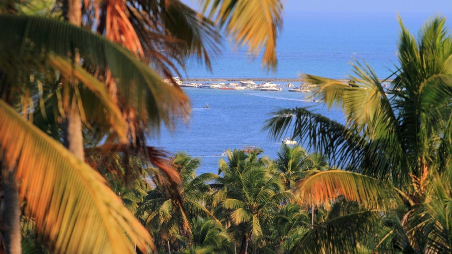 Imagem do horizonte da Praia de Guadalupe, tesouro de Sirinhaém, em Pernambuco