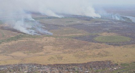 Área queimada é alvo de crime ambiental no Mato Grosso do Sul