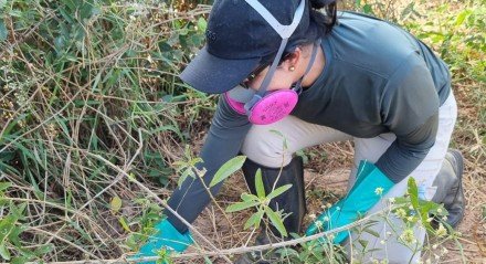 Pesquisadores foram ao município de Virgem da Lapa, no leste mineiro, para conduzir treinamentos e testes de campo com um material pioneiro no mundo