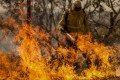 Foto da capa: Brasil