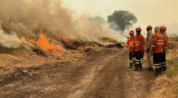 Ciência é  essencial para a solução dos problemas ambientais do Brasil