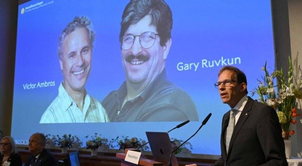 Victor Ambros e Gary Ruvkum, vencedores do Prêmio Nobel de Medicina 2024