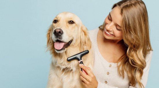 Evite transtornos com a pelagem do seu cachorro de pelo longo com cuidados preventivos (Imagem: ViDI Studio | Shutterstock)