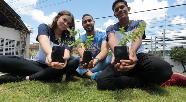 Os telhados verdes, construídos com o apoio de toda a comunidade escolar, trazem inúmeros benefícios para o ambiente urbano