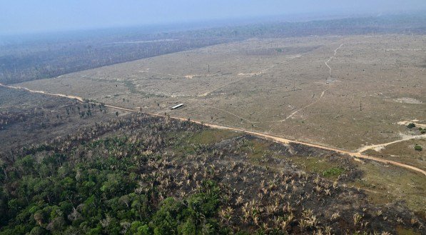 Desmatamento fragmenta a Amazônia e isola 23% de suas florestas, diz estudo