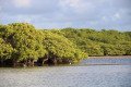 Turismo Ambiental
