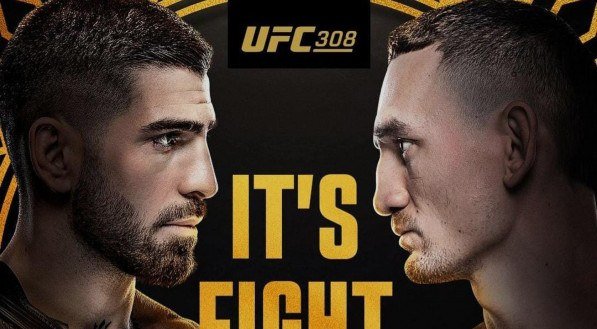UFC 308