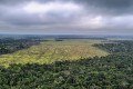 RESTAURA AMAZÔNIA
