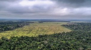 Mudan&ccedil;as clim&aacute;ticas j&aacute; afetam cotidiano da popula&ccedil;&atilde;o na Amaz&ocirc;nia Legal