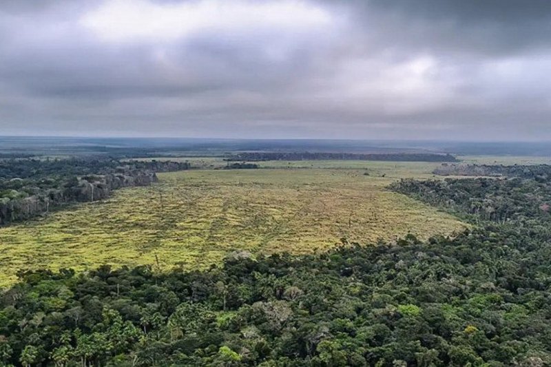 Mudan&ccedil;as clim&aacute;ticas j&aacute; afetam cotidiano da popula&ccedil;&atilde;o na Amaz&ocirc;nia Legal