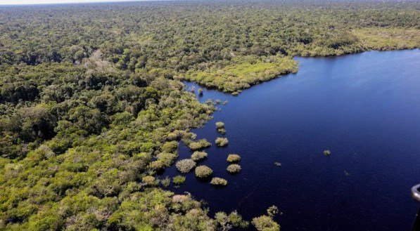 Cinco países aderem a fundo para conservação de florestas tropicais